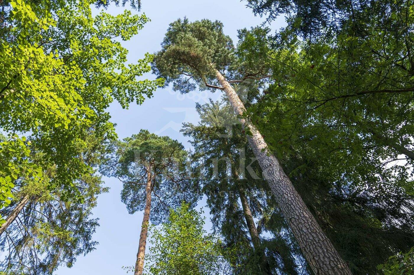 2-этажный коттедж 1 518 м² с отделкой