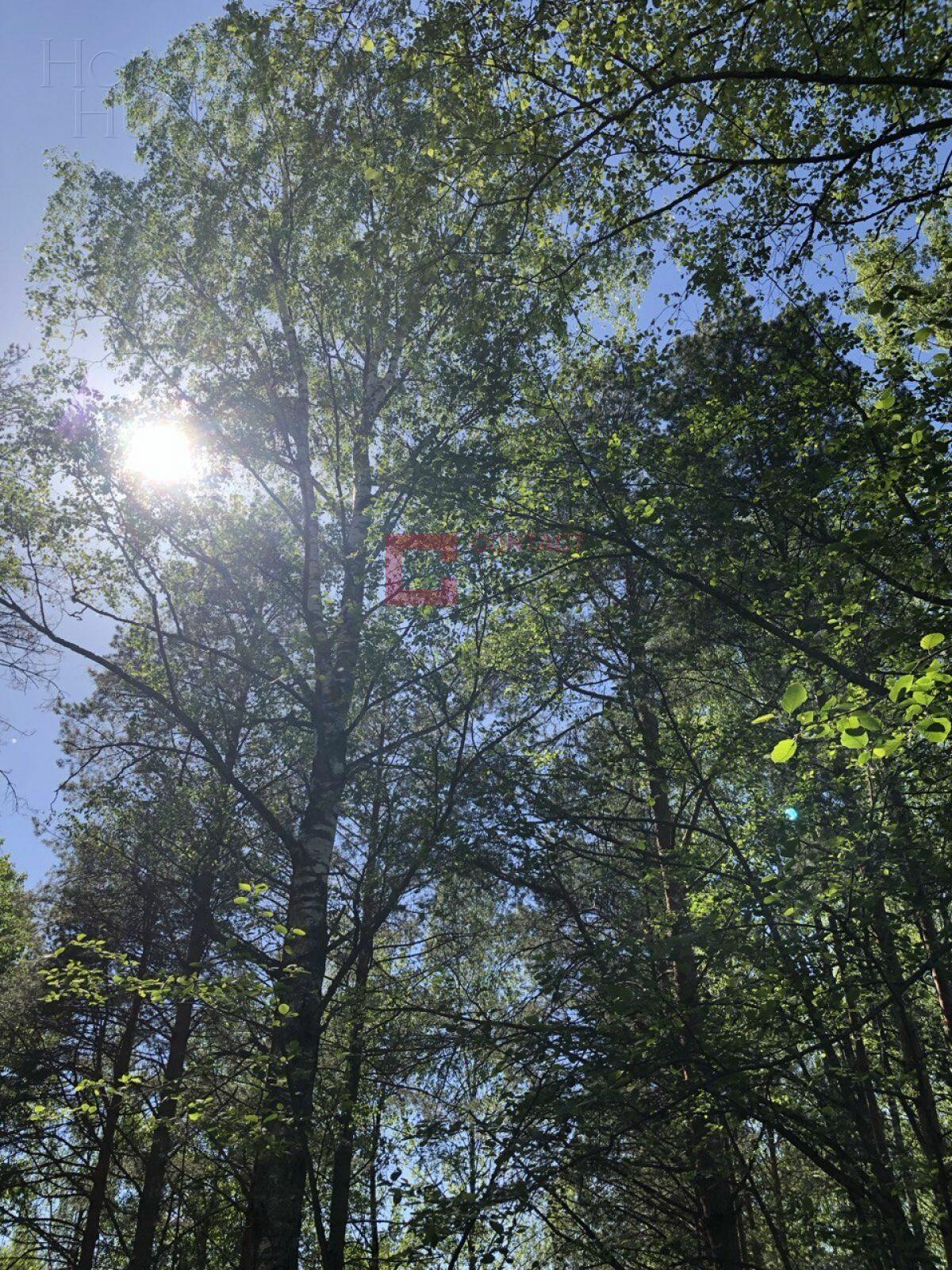 Участок 50 сот.