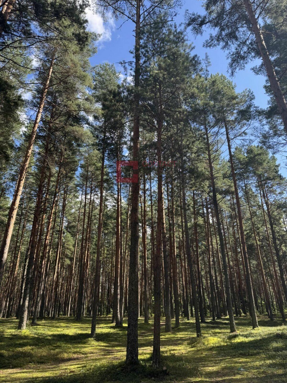 Участок 110 сот.