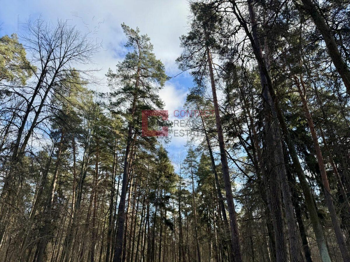 Участок 110 сот.