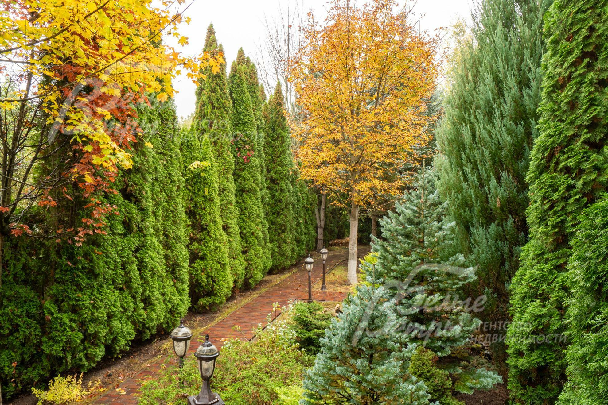 2-этажный коттедж 835 м² с отделкой