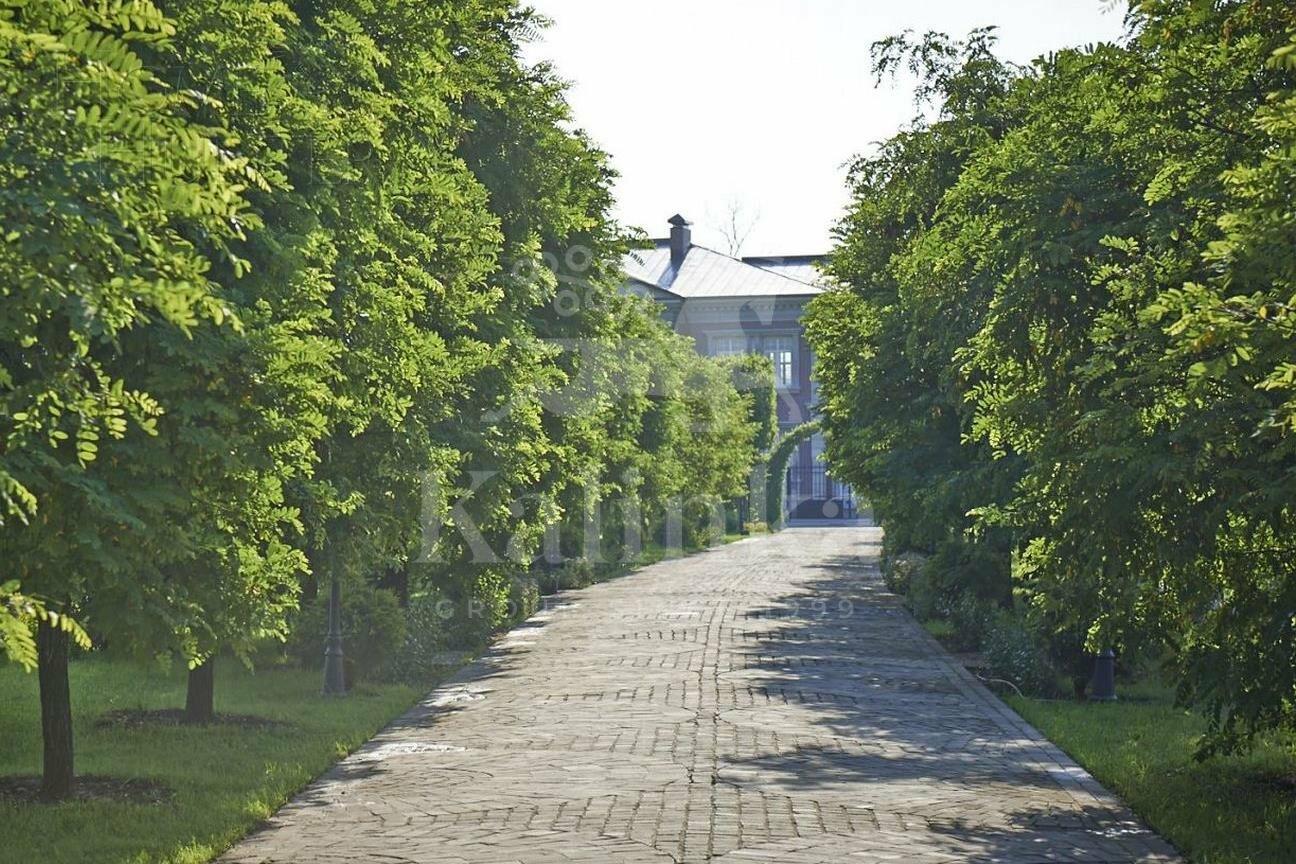 Участок 53 сот.