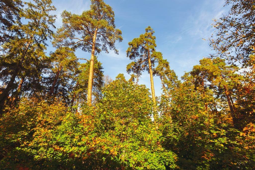 2-этажный коттедж 720 м² без отделки