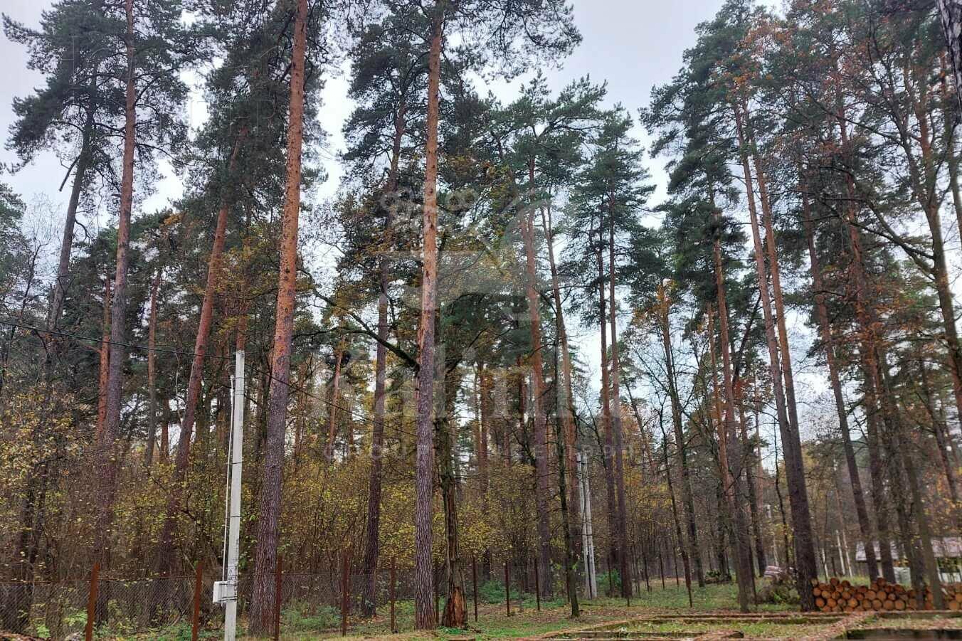 Участок 25 сот.