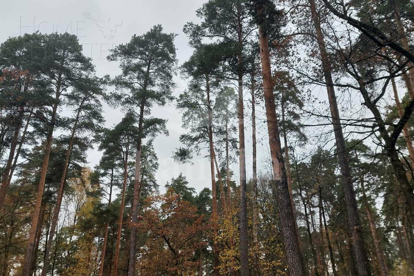 Участок 25 сот.