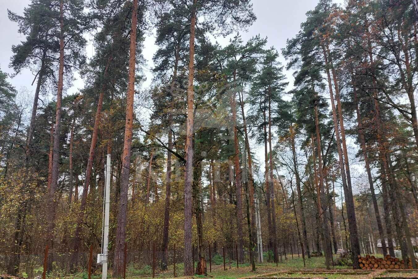 Участок 25 сот.