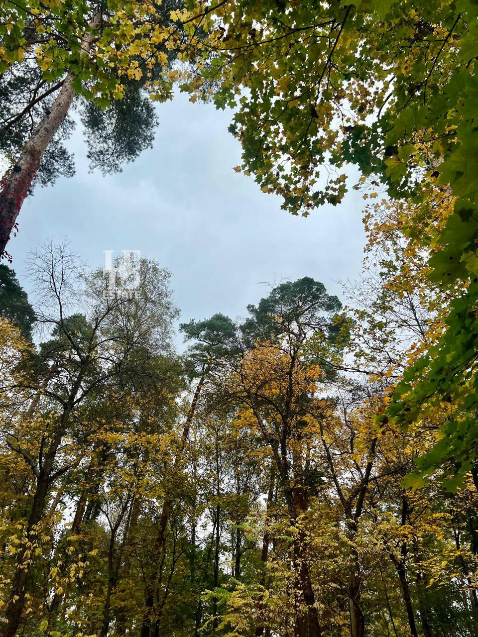 Участок 37.5 сот. в охраняемом поселке