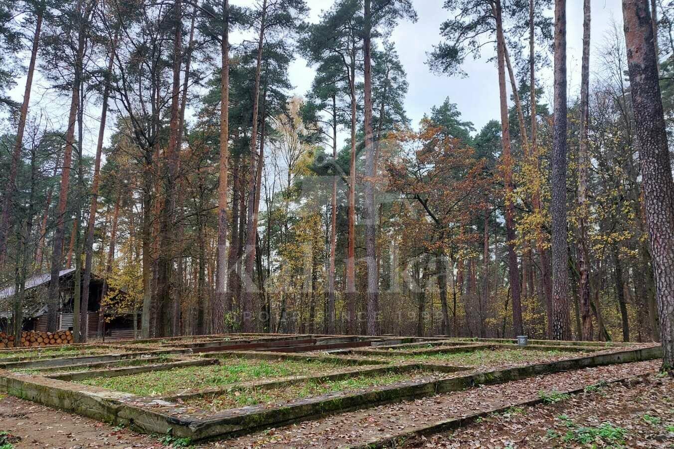 Участок 25 сот.