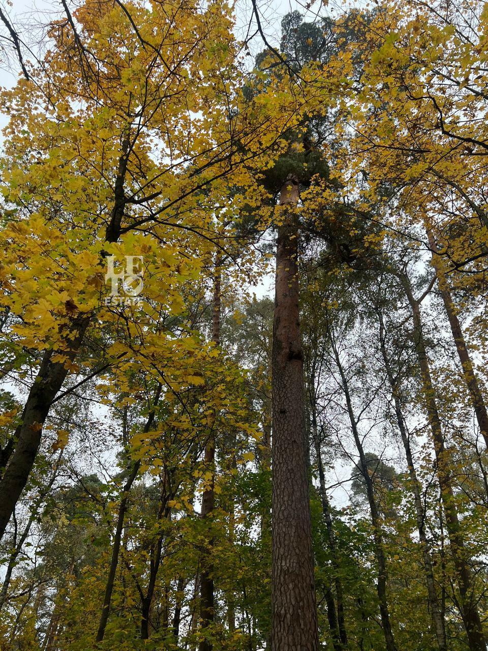 Участок 37.5 сот. в охраняемом поселке