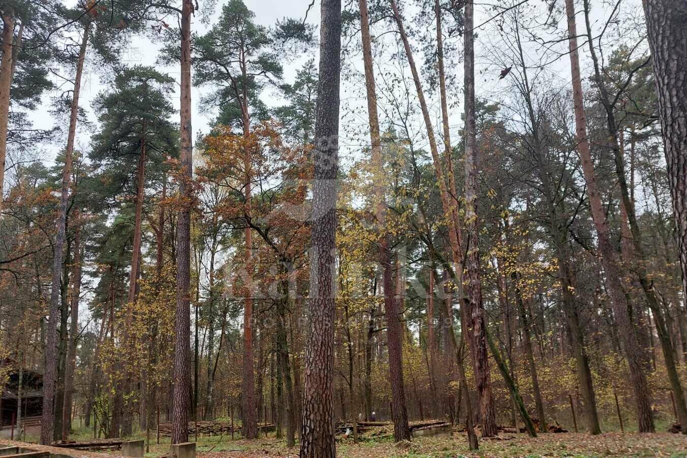 Участок 25 сот.