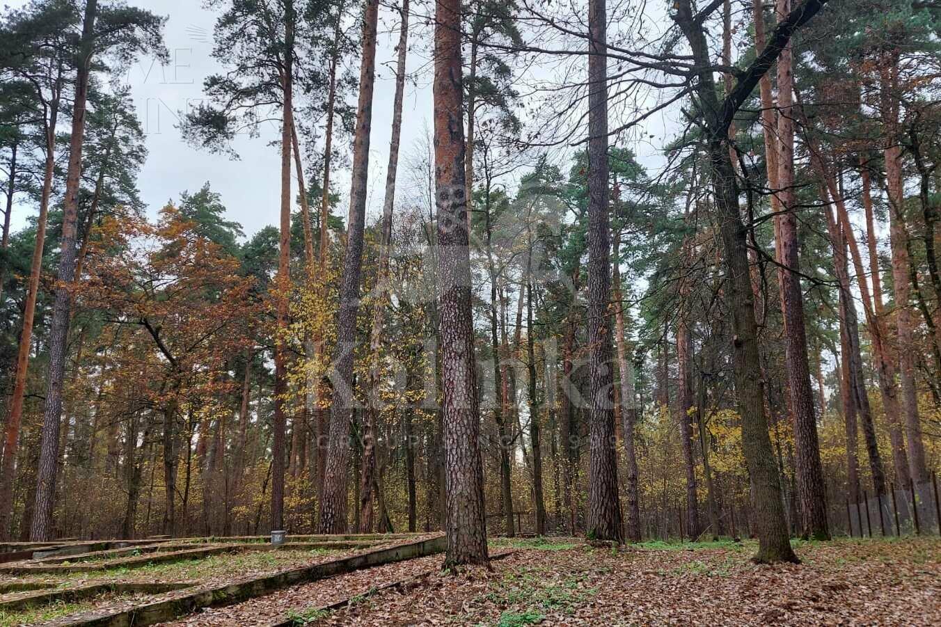 Участок 25 сот.