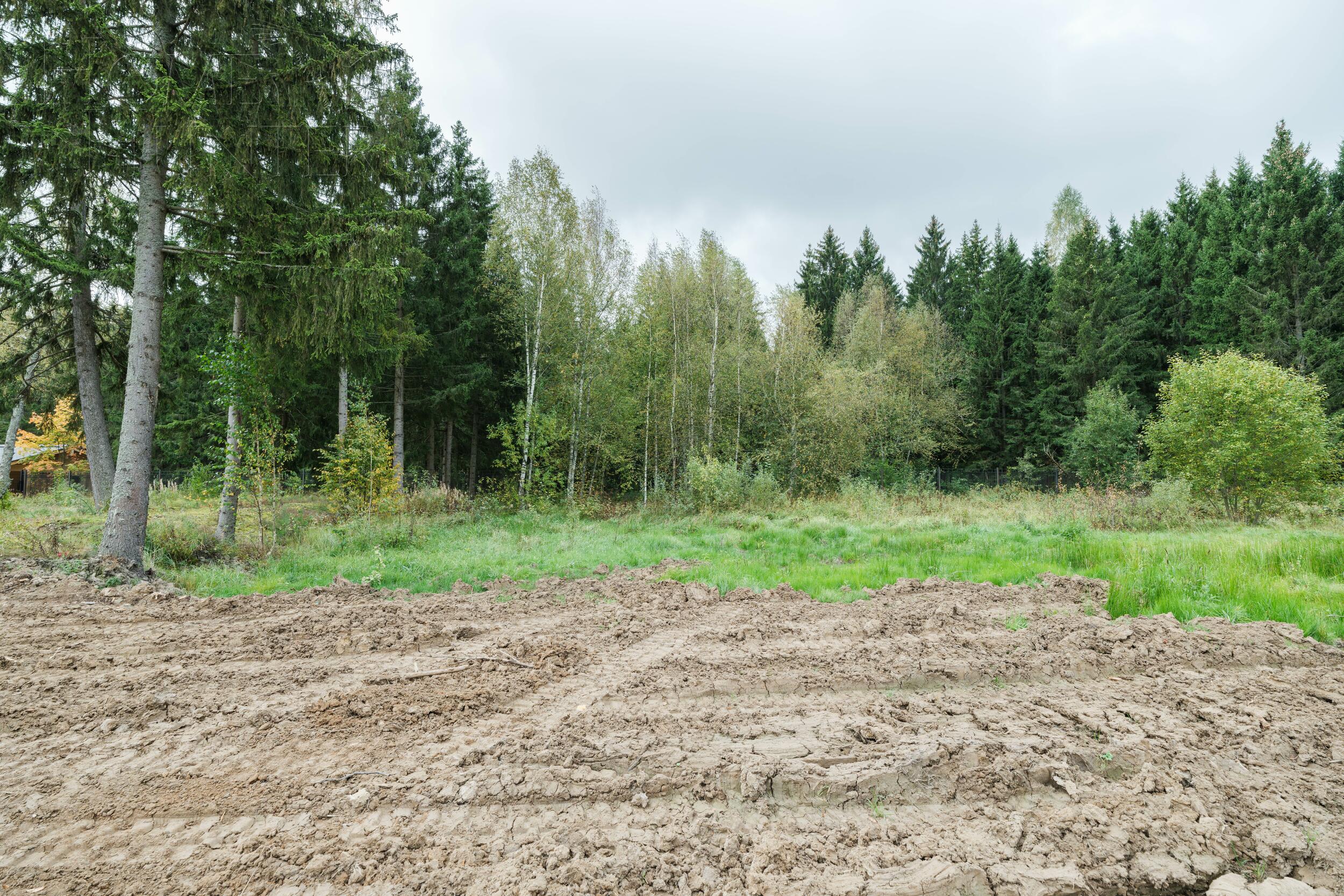 Участок 251.81 сот. в охраняемом поселке