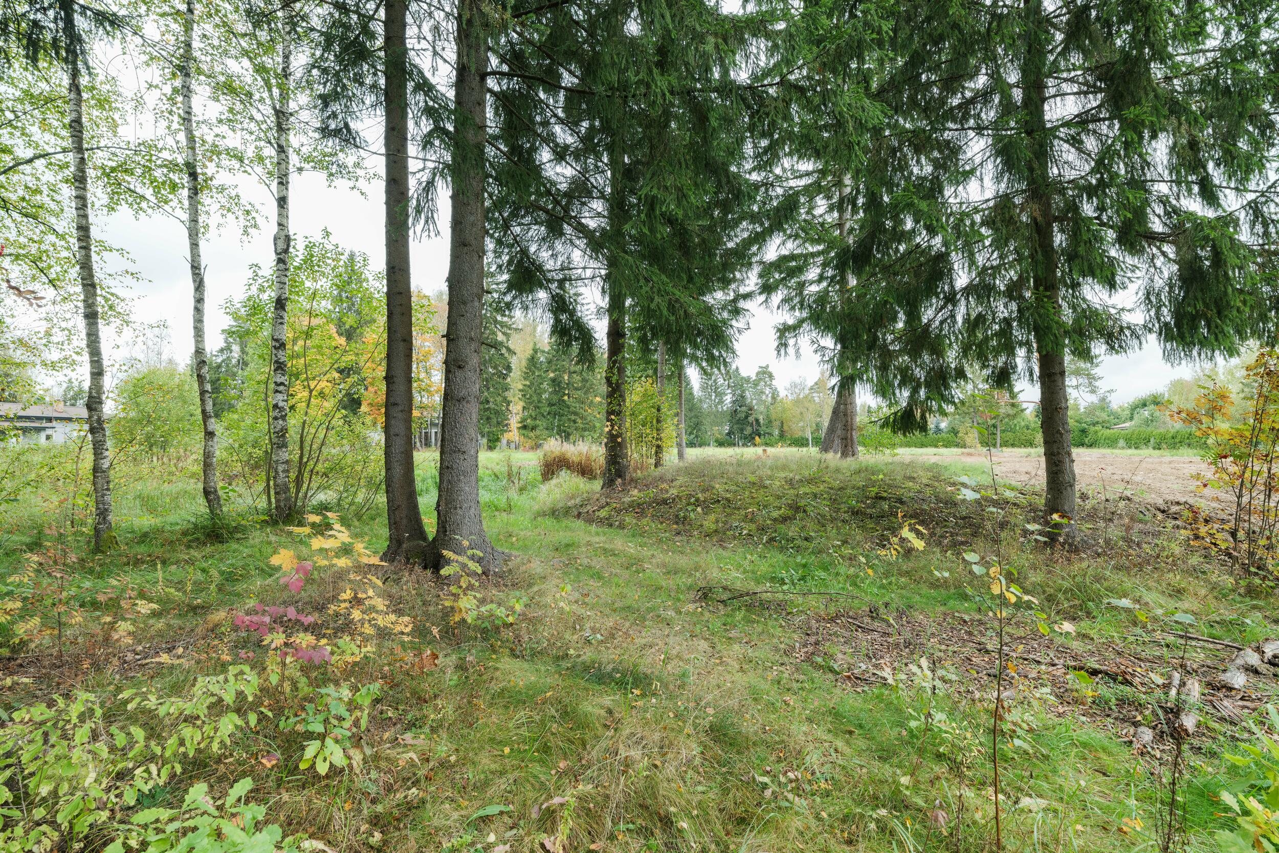 Участок 251.81 сот. в охраняемом поселке