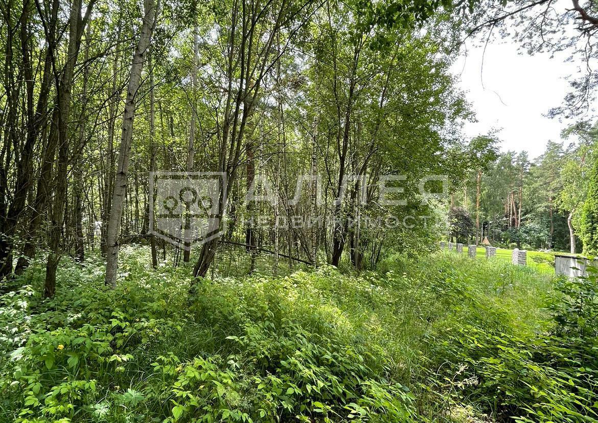 Участок 1 300 сот.