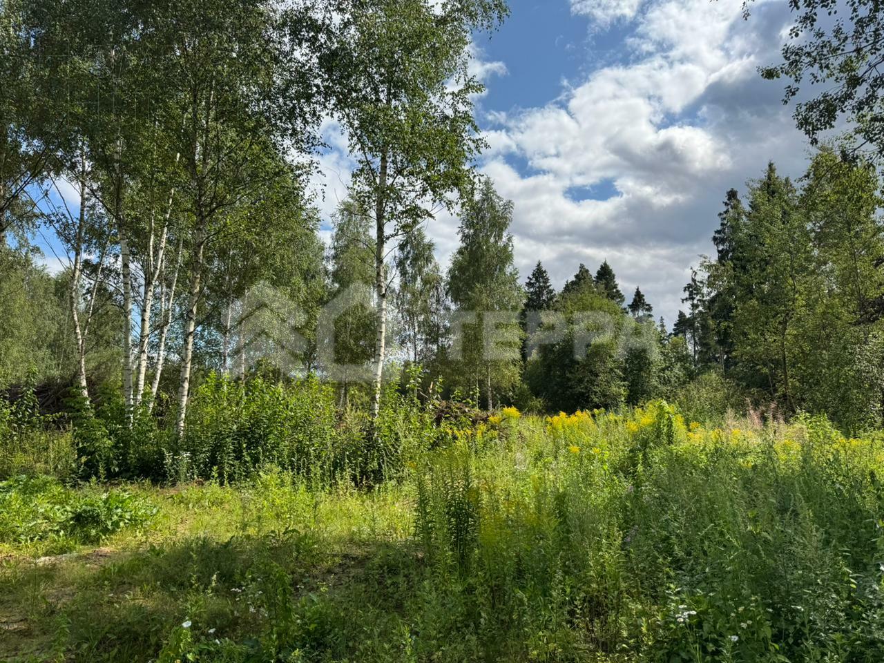 Участок 17 сот.