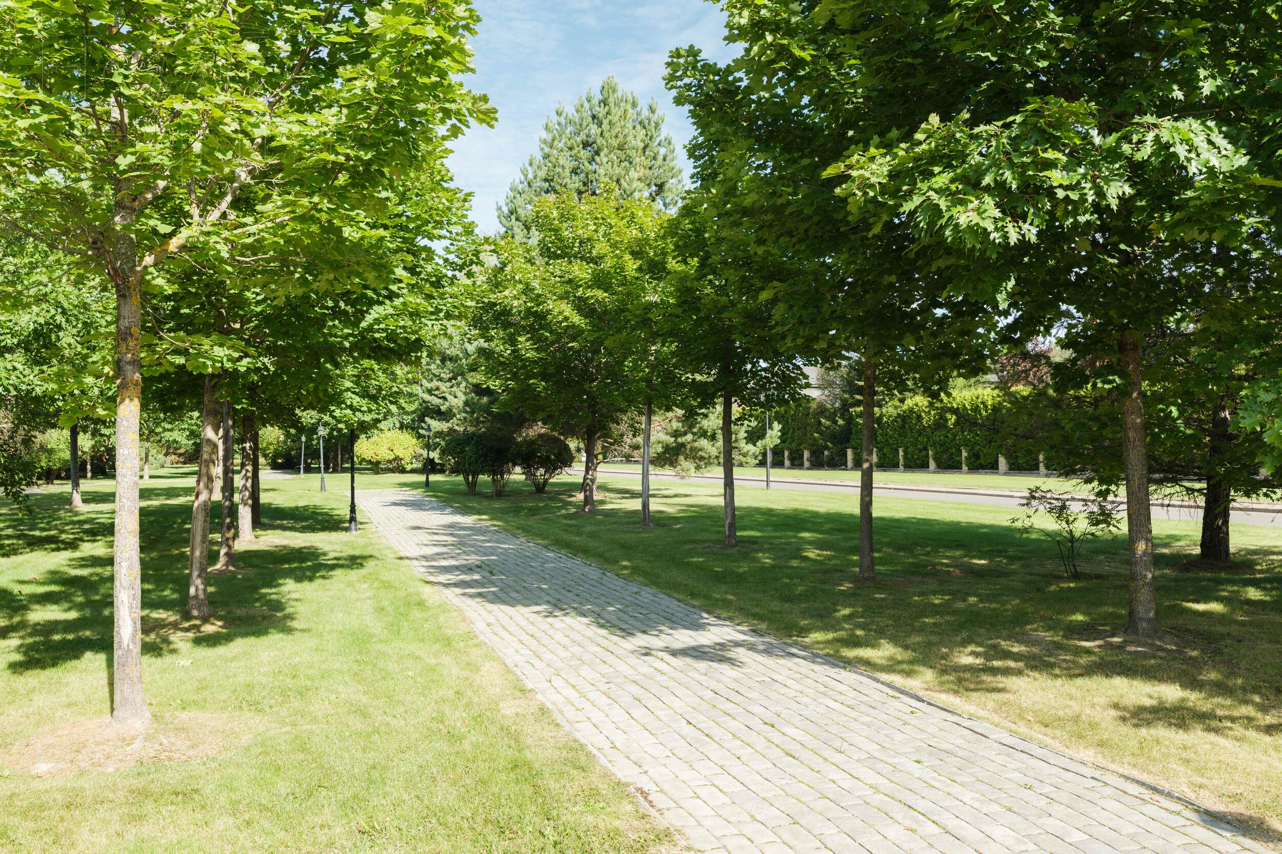 Участок 60 сот. в охраняемом поселке