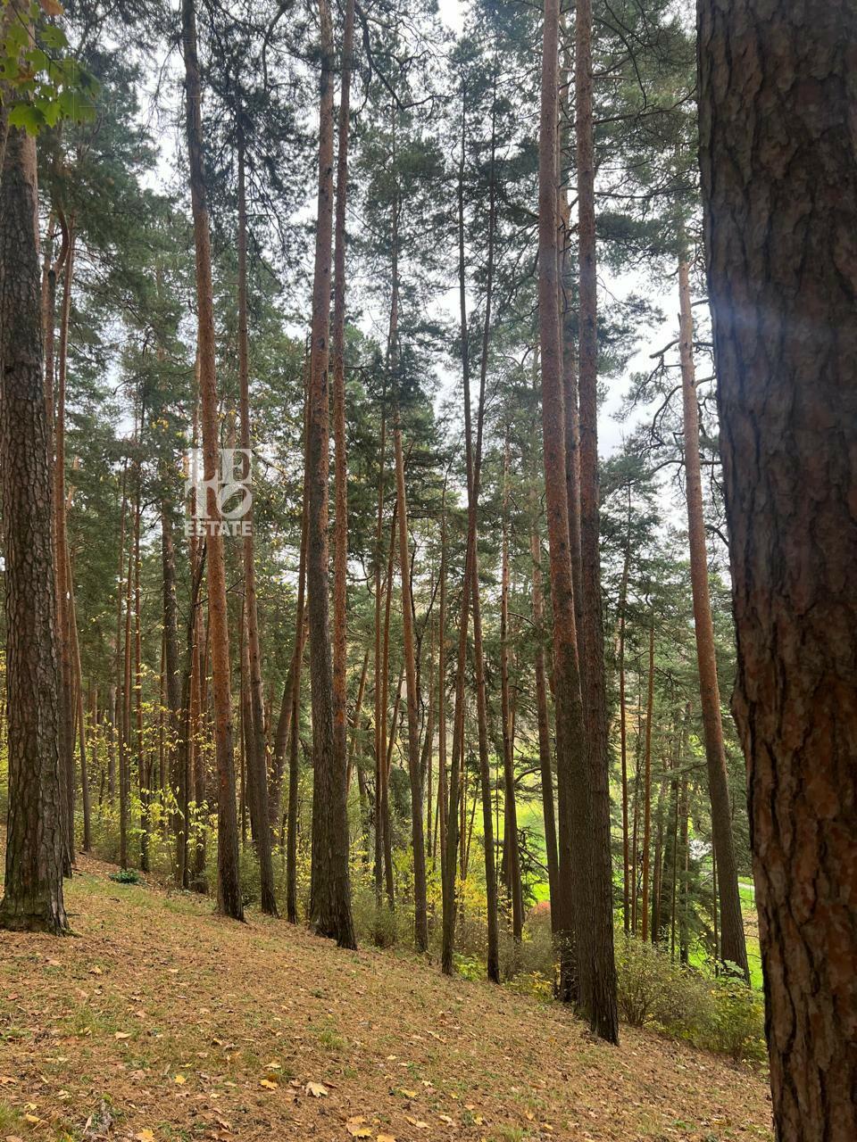 Участок 96.6 сот. в охраняемом поселке