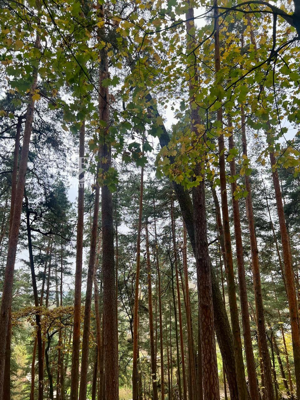 Участок 96.6 сот. в охраняемом поселке