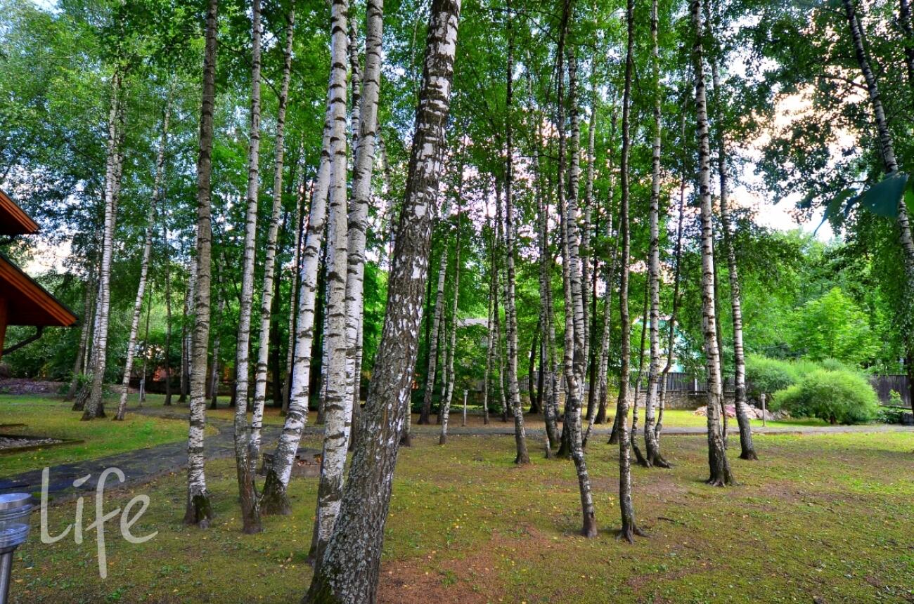 2-этажный коттедж 328 м² без отделки