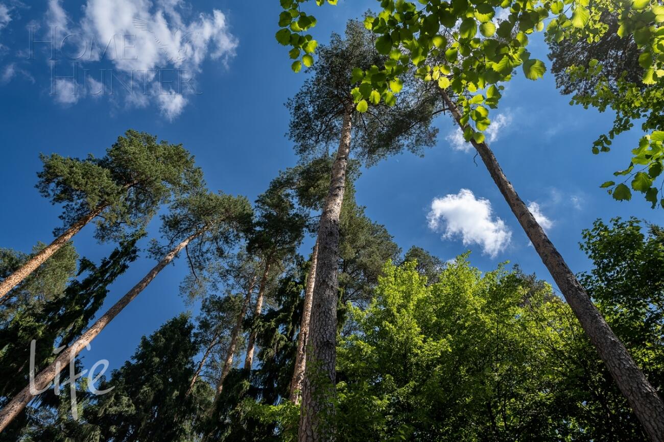 2-этажный коттедж 650 м² с отделкой