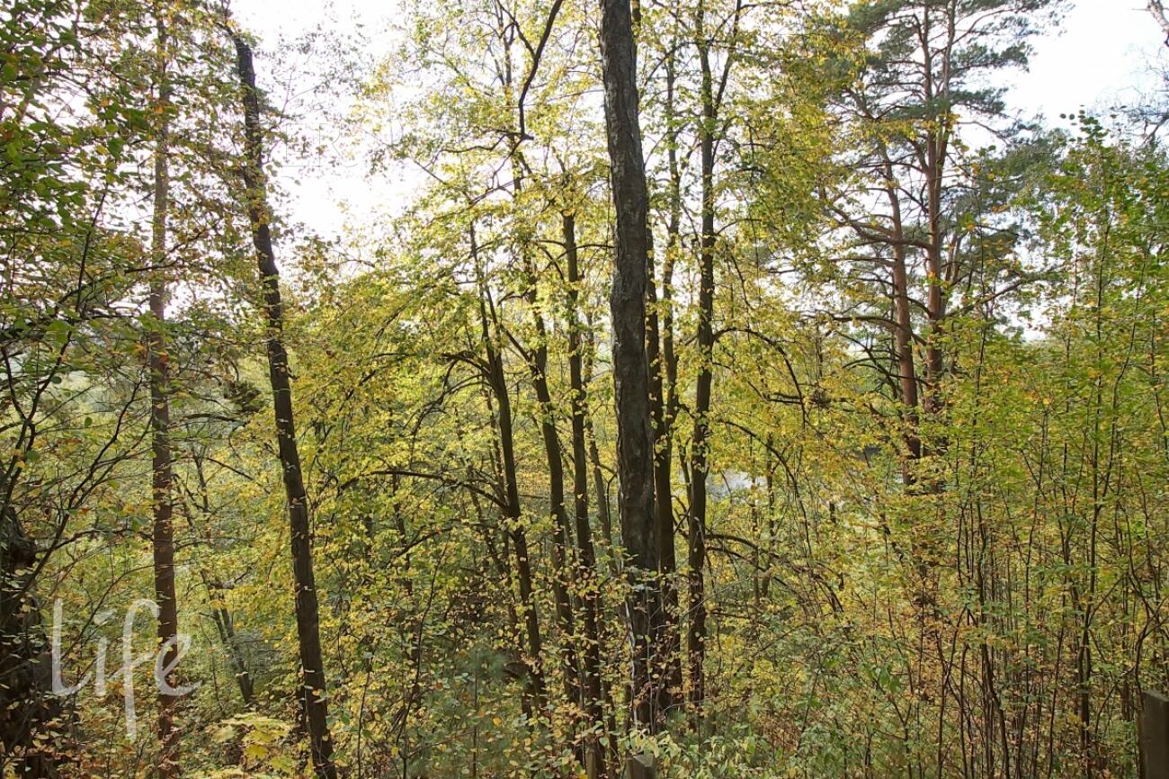 2-этажный коттедж 900 м² без отделки