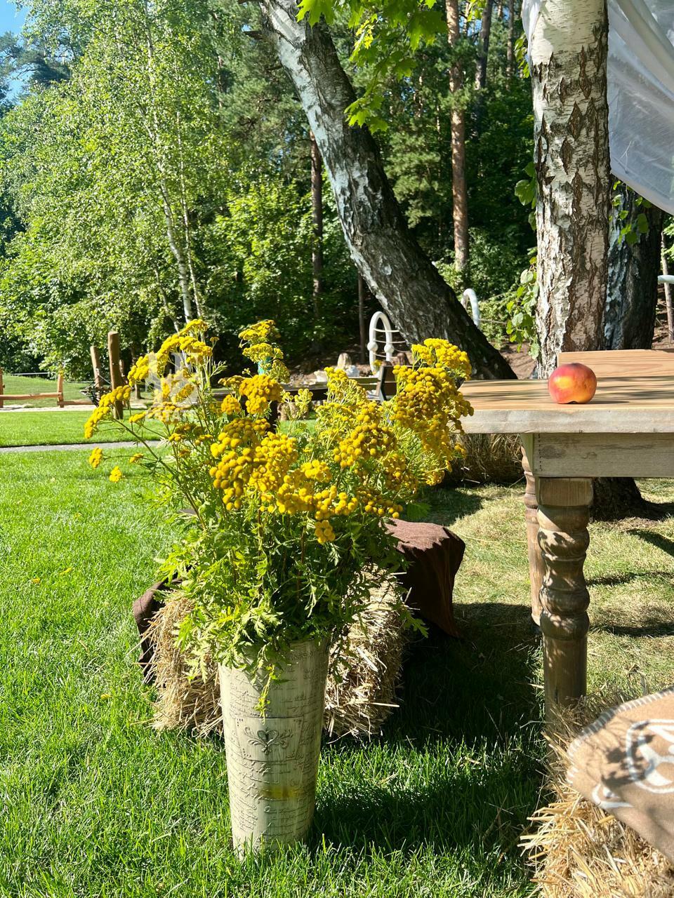 Участок 96.6 сот. в охраняемом поселке