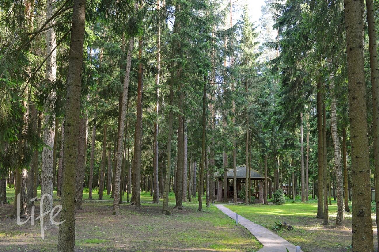 2-этажный коттедж 570 м² с отделкой