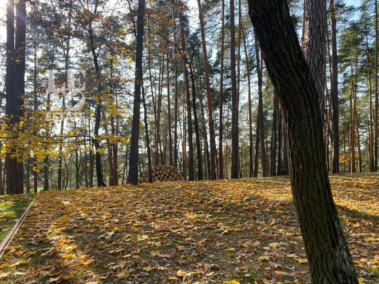 Участок 96.6 сот. в охраняемом поселке