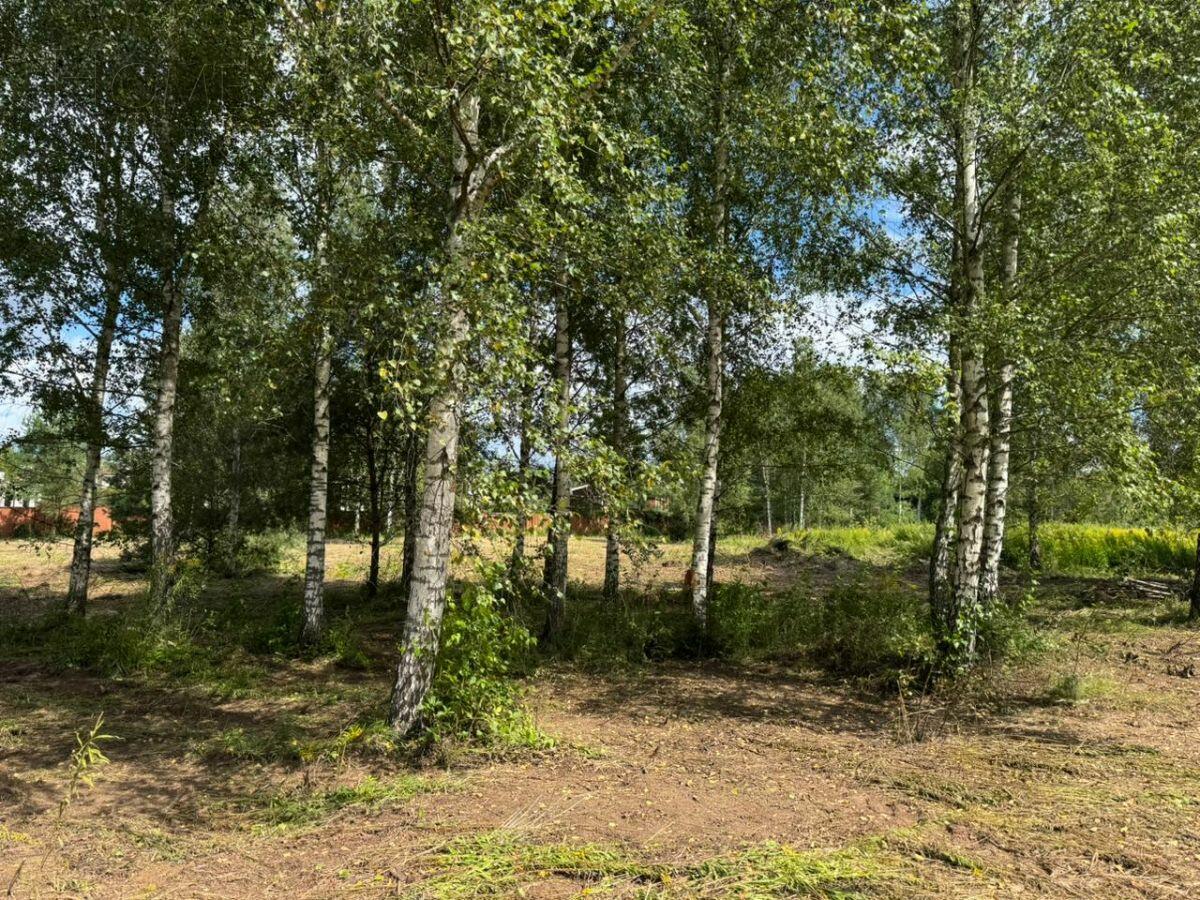 Участок 18 сот.