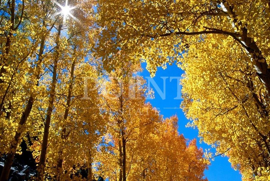 Участок 14.21 сот. в охраняемом поселке