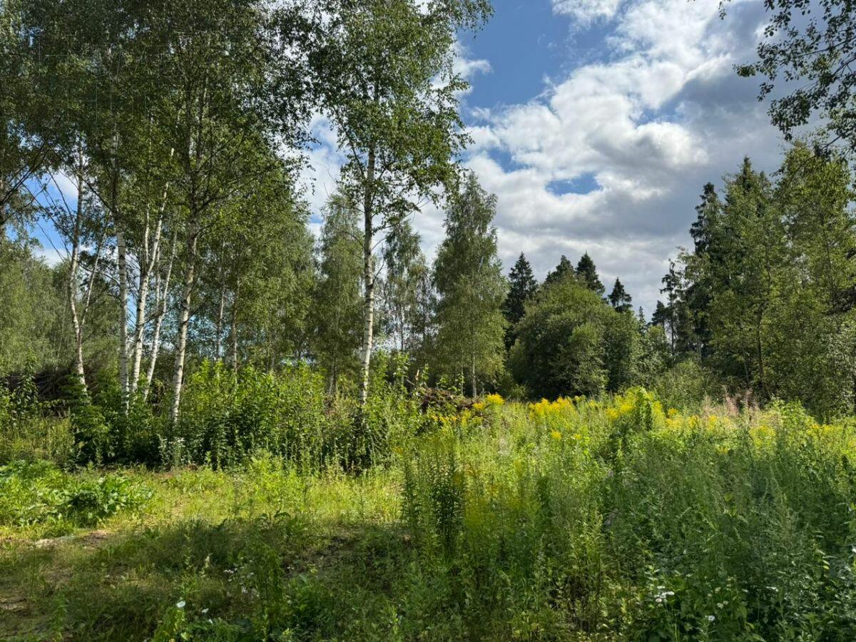 Участок 17 сот.