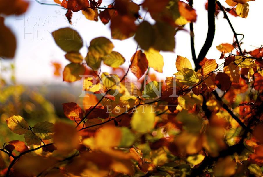 Участок 14.21 сот. в охраняемом поселке