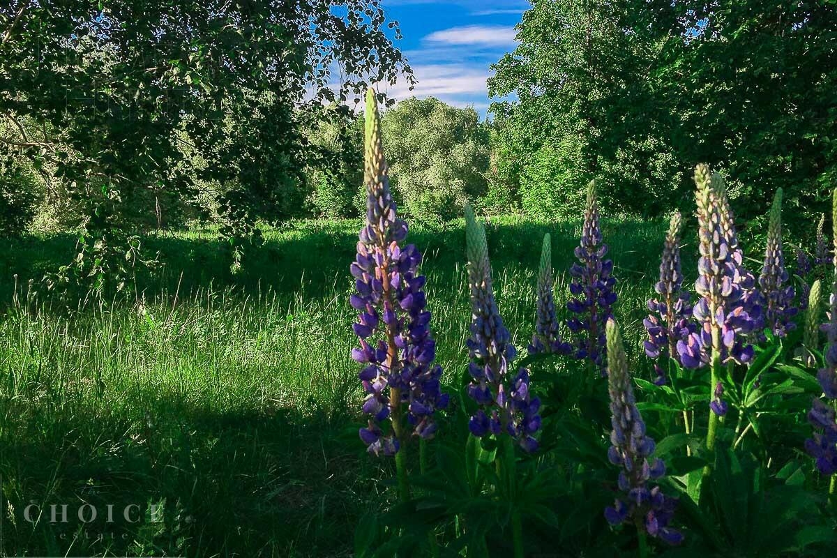 Участок 10 сот. в охраняемом поселке