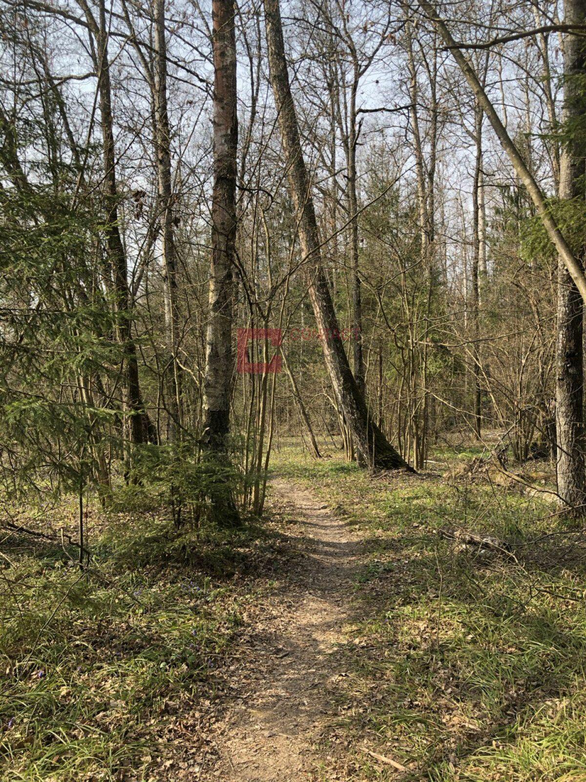 Участок 25 сот.