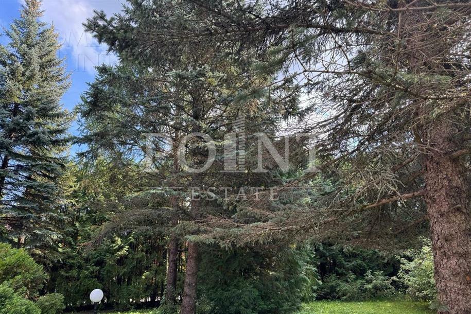 Участок 39.05 сот.