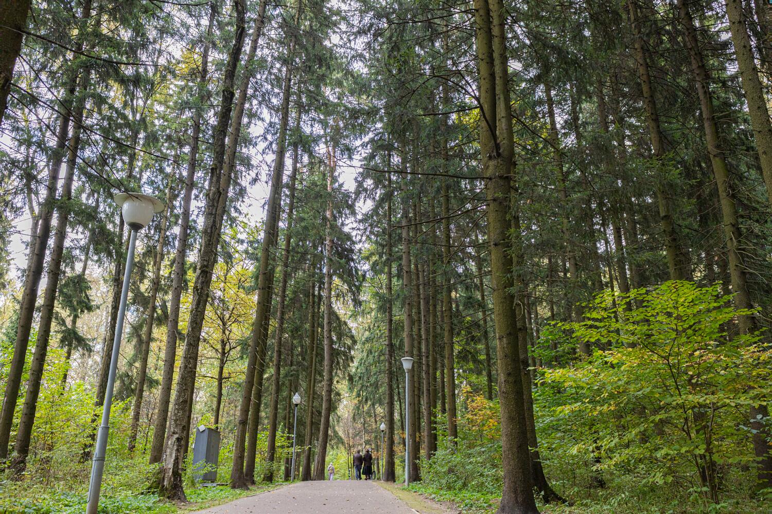 2-этажный коттедж 495 м² с отделкой