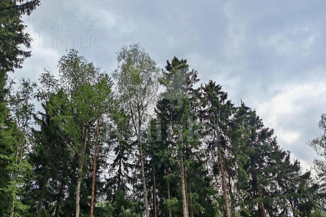 Участок 291.3 сот. в охраняемом поселке