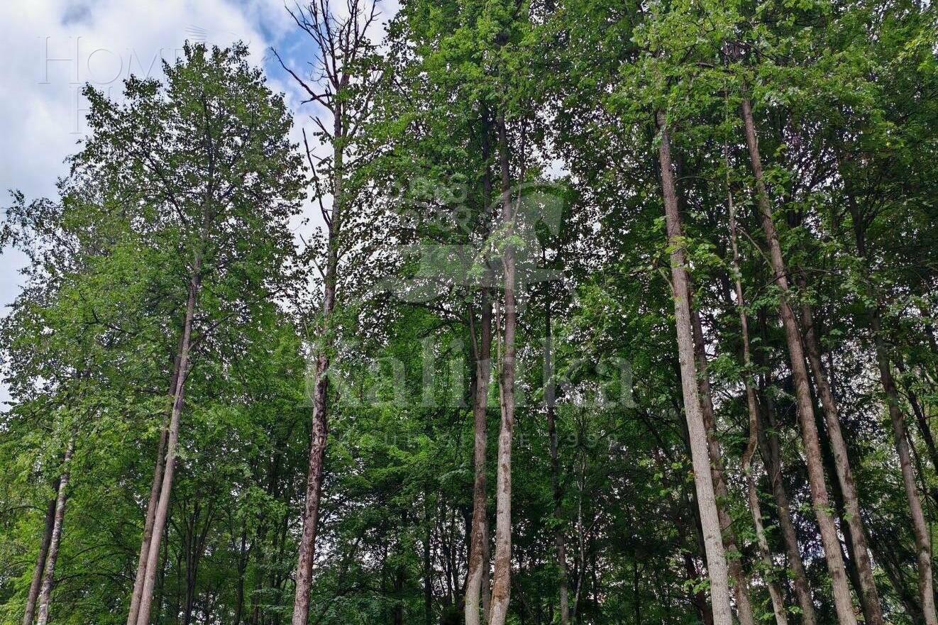 Участок 188.4 сот. в охраняемом поселке