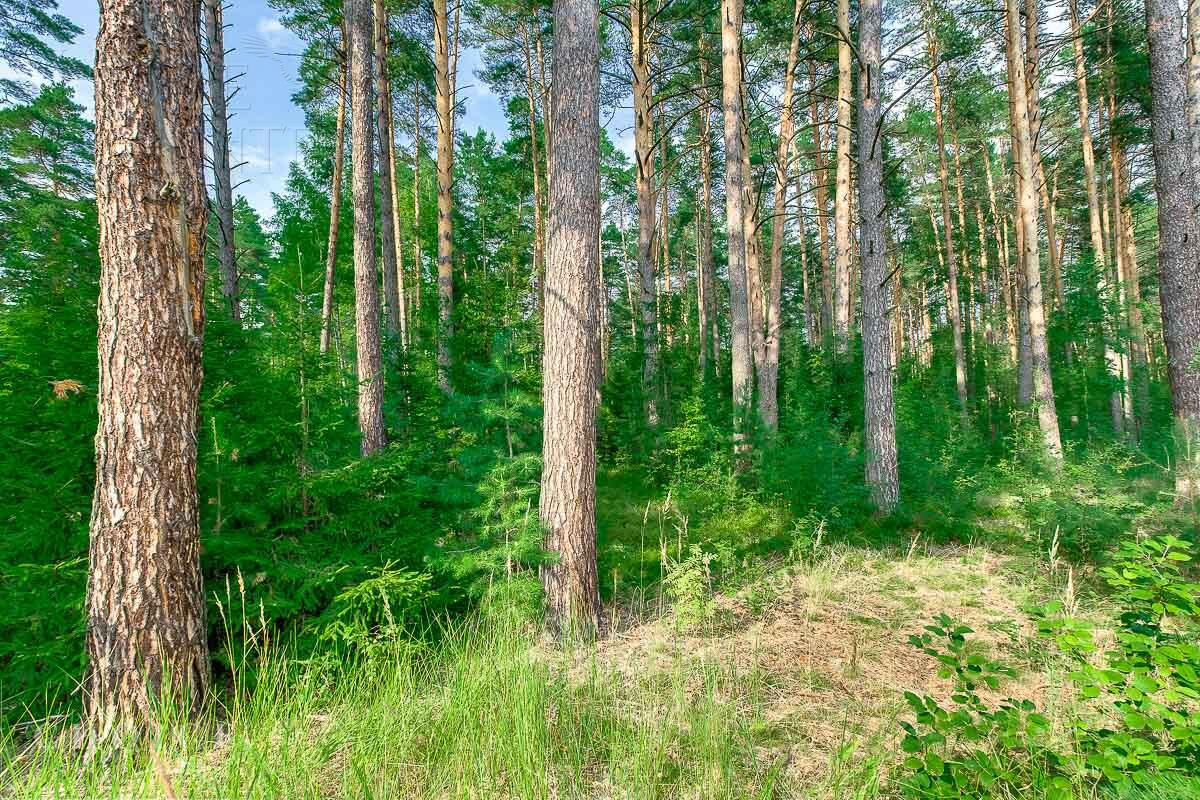 Участок 30 сот. в охраняемом поселке