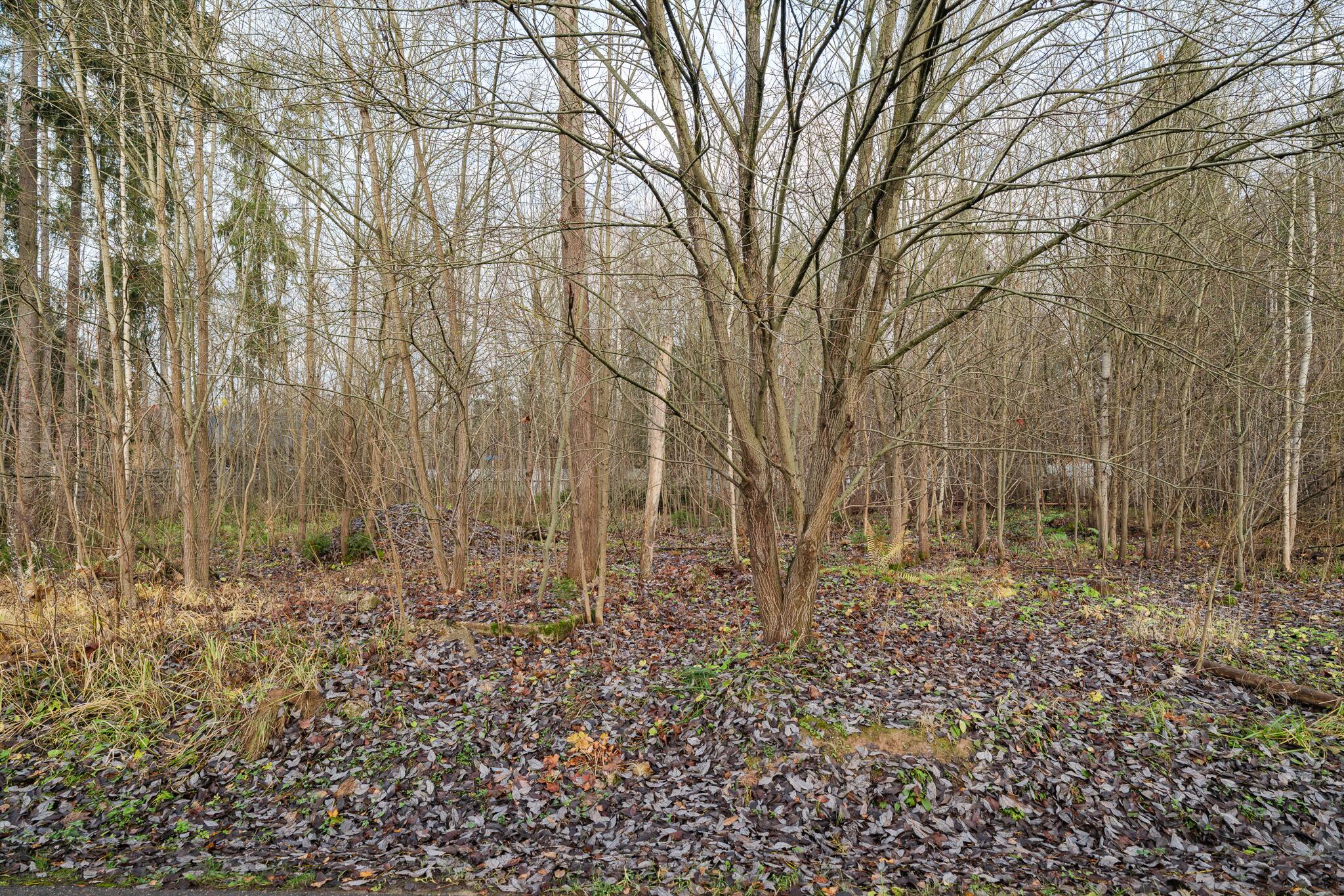 Участок 25 сот. в охраняемом поселке