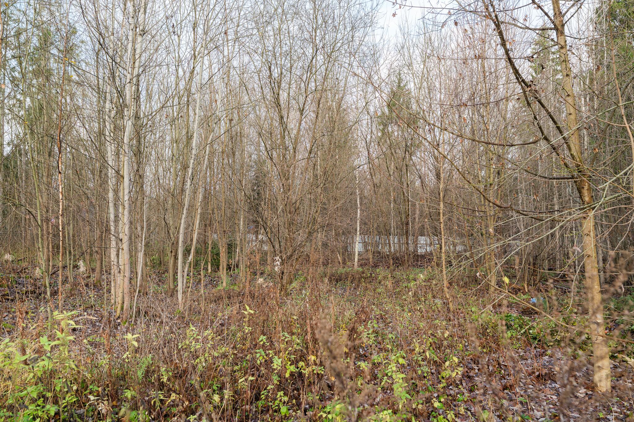 Участок 25 сот. в охраняемом поселке