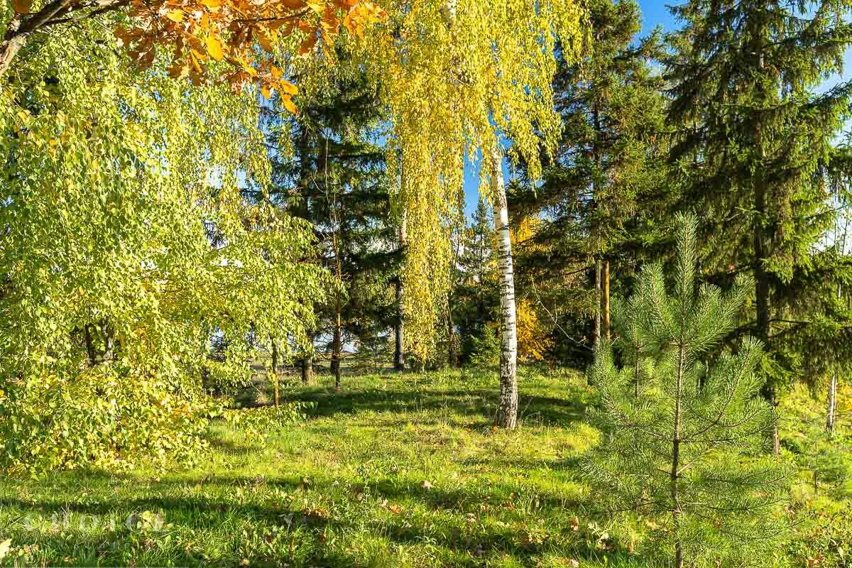 Участок 60 сот.