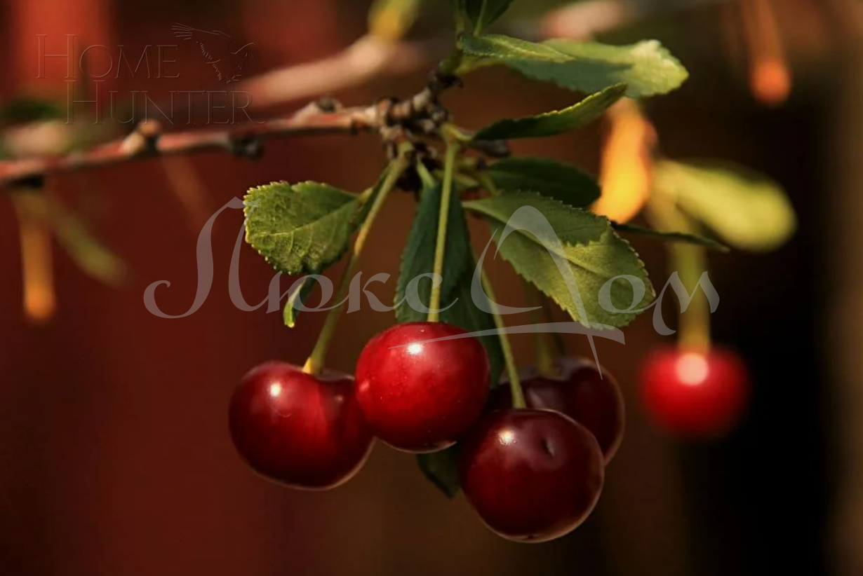 2-КОМН. КВАРТИРА БЕЗ ОТДЕЛКИ 66.2 М² НА 3 ЭТАЖЕ