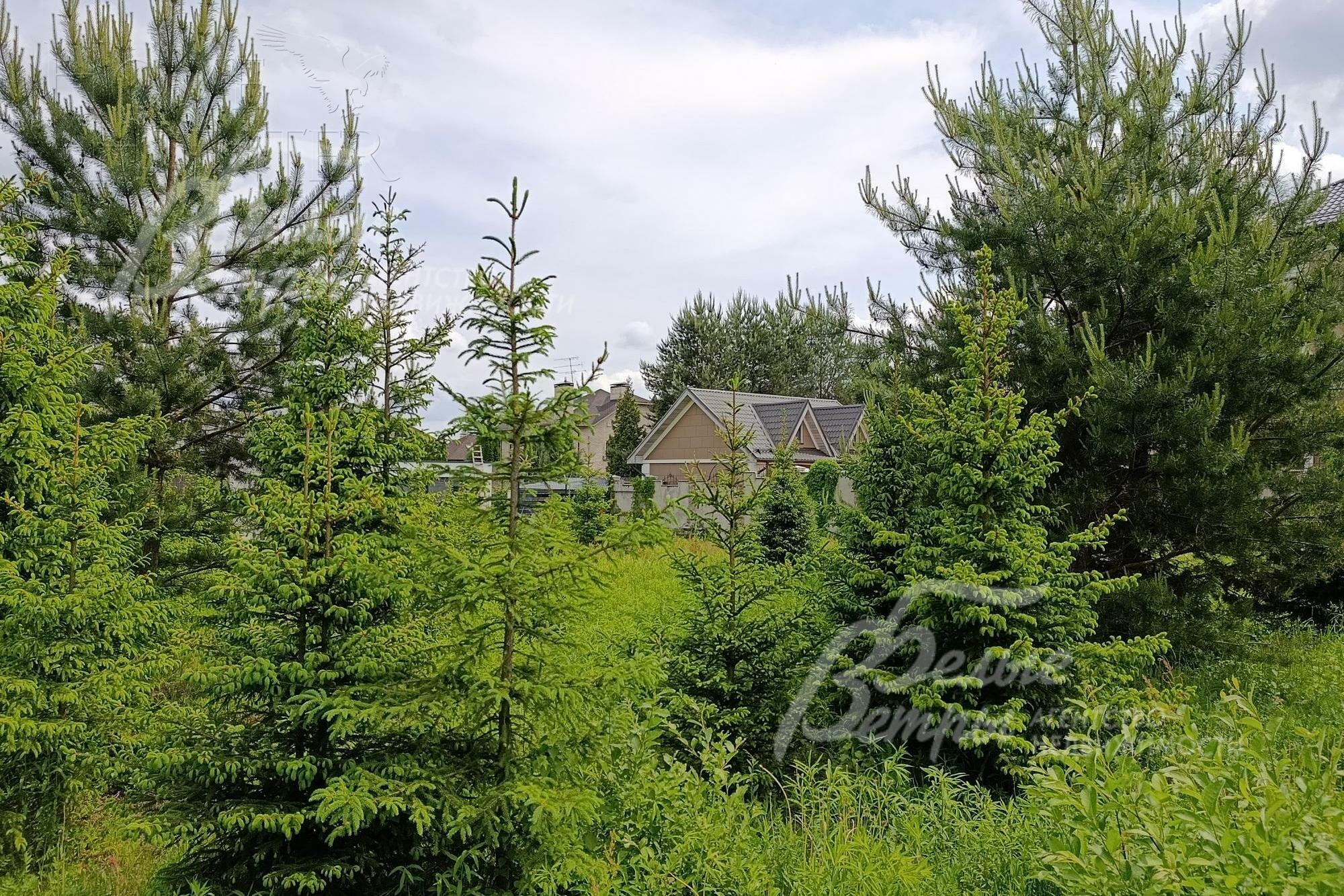 Участок 32.2 сот. в охраняемом поселке