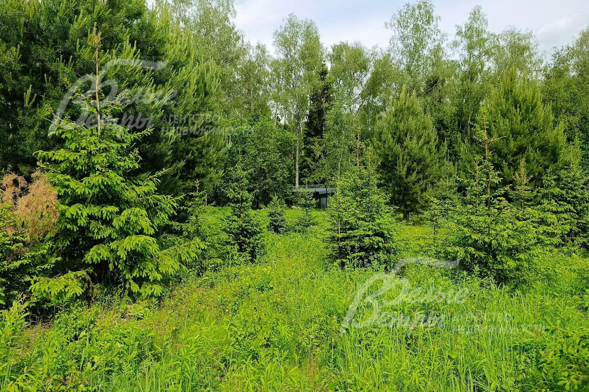 Участок 32.2 сот. в охраняемом поселке