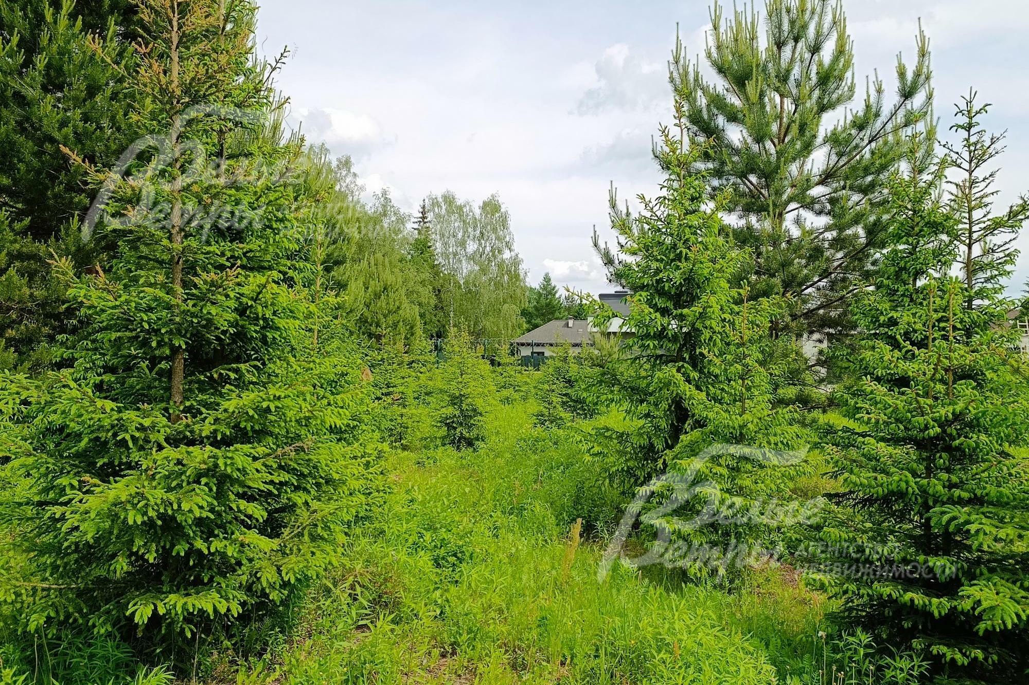 Участок 32.2 сот. в охраняемом поселке