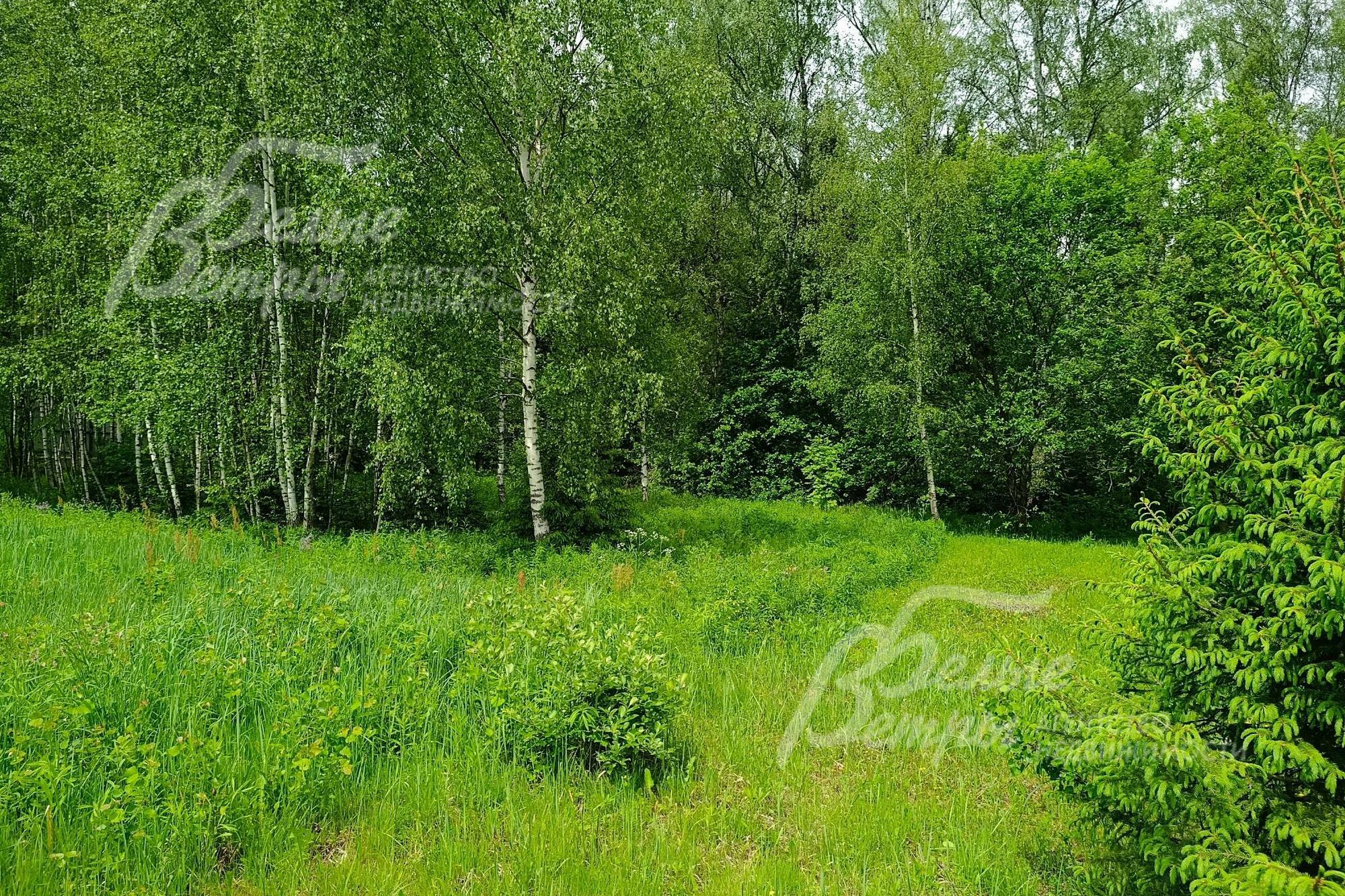 Участок 32.2 сот. в охраняемом поселке