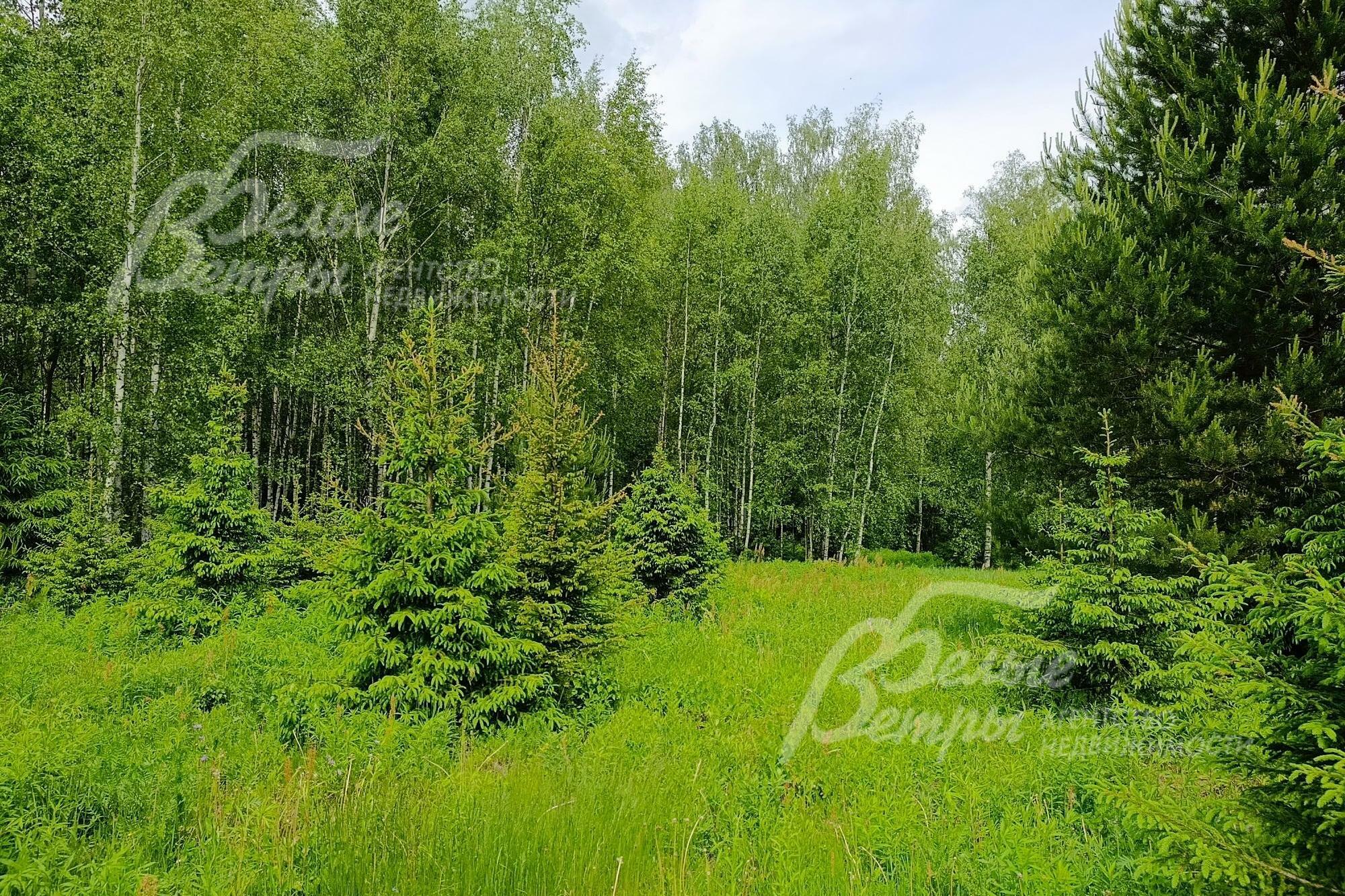 Участок 32.2 сот. в охраняемом поселке