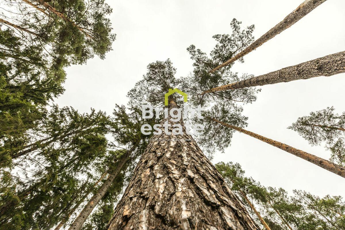 2-этажный коттедж 650 м² с отделкой