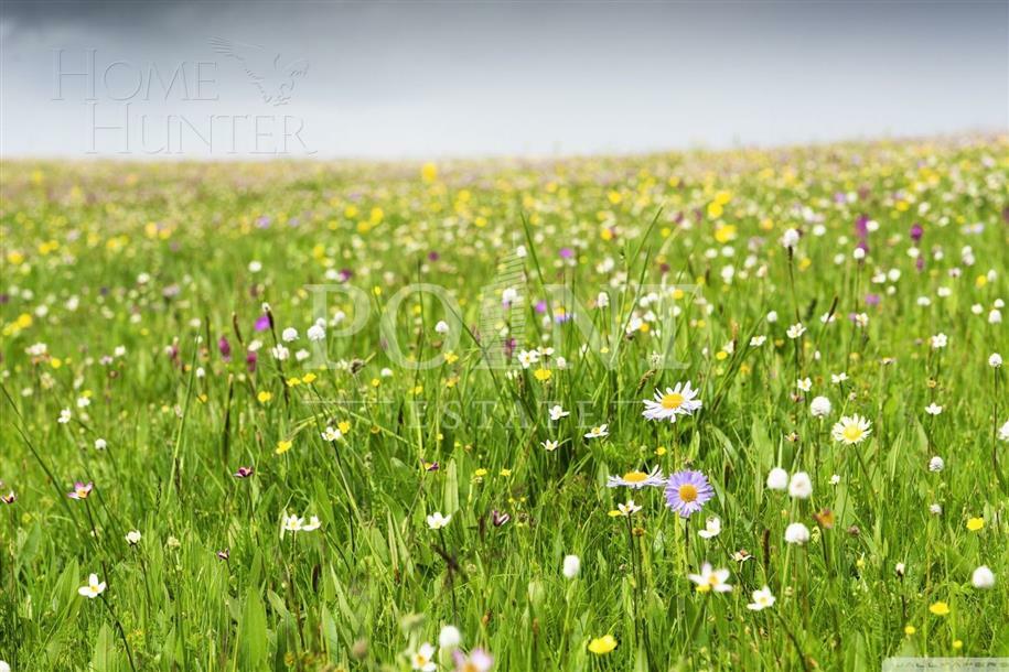 Участок 17.4 сот.